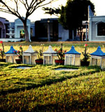 免费ddos在线攻击